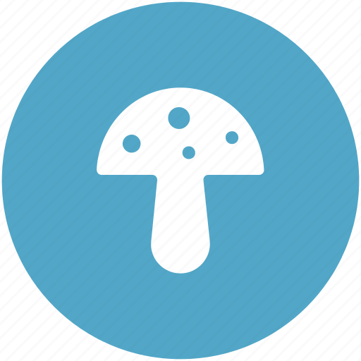 Diet, food, fungi, mushroom, mushroom button, toadstool icon - Download on Iconfinder