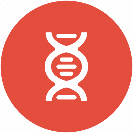 Biology, dna, dna chain, dna helix, dna strand, genetics, science icon - Download on Iconfinder