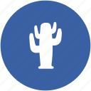 barrel cactus, cactaceae, cactus, desert, desert plant, wild plant