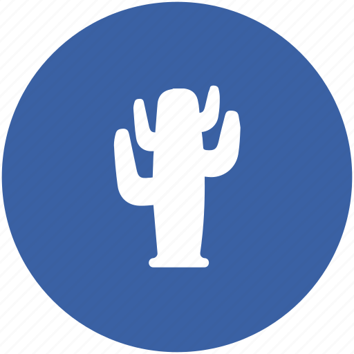 Barrel cactus, cactaceae, cactus, desert, desert plant, wild plant icon - Download on Iconfinder