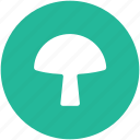 diet, food, fungi, mushroom, mushroom button, toadstool