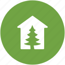fir tree, forest, glasshouse, greenhouse, pine tree