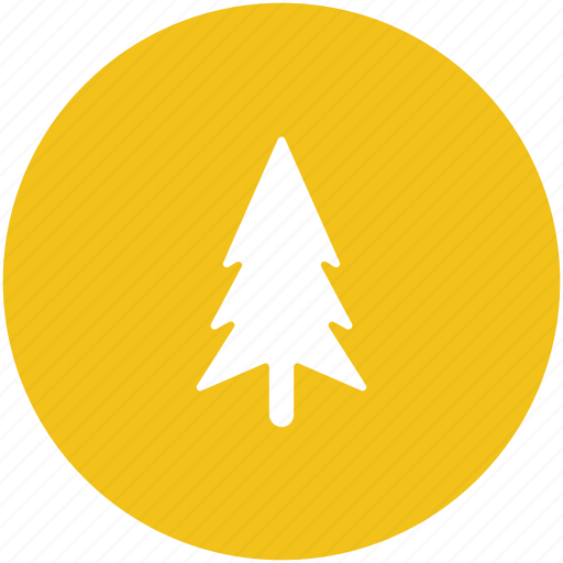 Fir tree, forest, nature, park, pine tree, yard trees icon - Download on Iconfinder