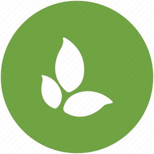 Ecology, foliage, greenery, leaf, nature, tree leaves icon - Download on Iconfinder