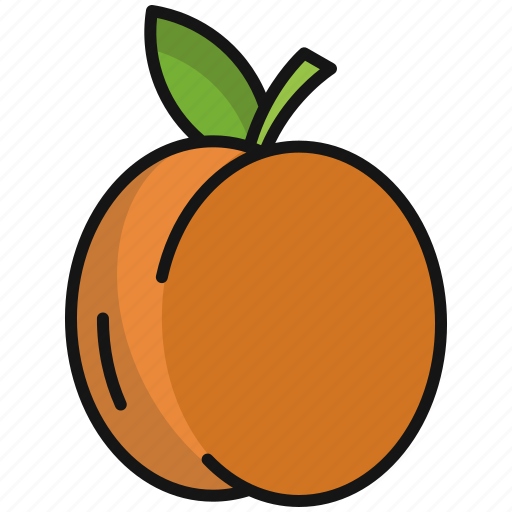 Apricot icon - Download on Iconfinder on Iconfinder