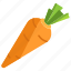 carrot 