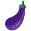 eggplant 