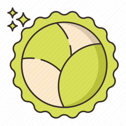 Brussel, sprouts, vegie, vegetable, cabbage, brussel sprouts, food icon - Download on Iconfinder