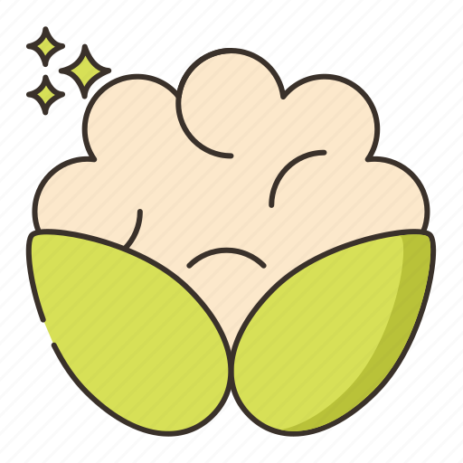 Cauliflower, vegetable, vegie, food icon - Download on Iconfinder