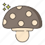 mushrooms, fungus, mushroom, fungi, vegetable, toadstool 
