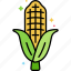 corn, food, vegetable, fruit 