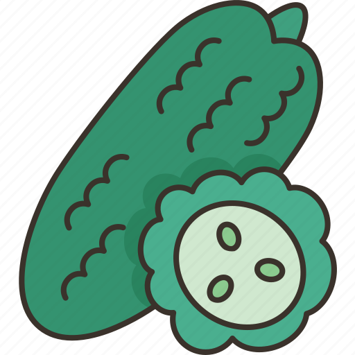 Bitter, melon, vegetable, food, tropical icon - Download on Iconfinder