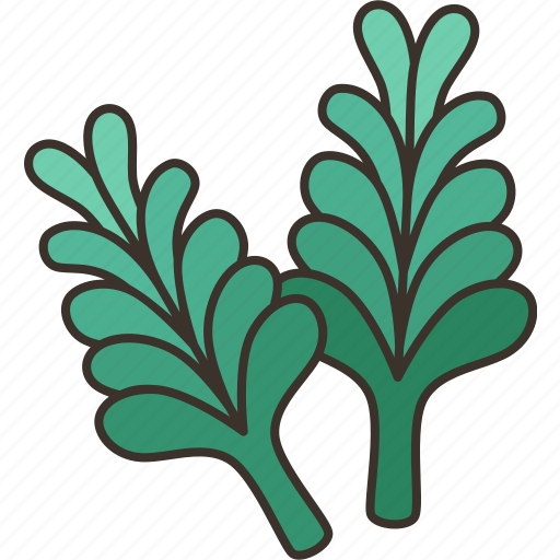 Rosemary, leaves, aromatic, herbal, ingredient icon - Download on Iconfinder