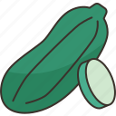 zucchini, vegetable, diet, vitamin, plant