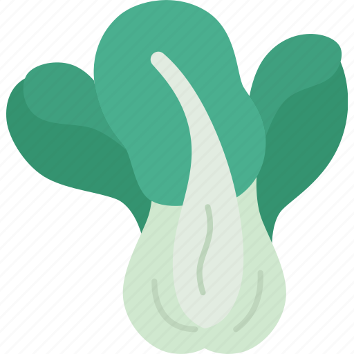 Bok, choy, vegetable, organic, asian icon - Download on Iconfinder