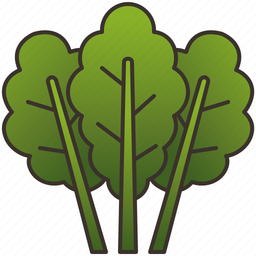 Green, healthy, kale, leaf, salad icon - Download on Iconfinder
