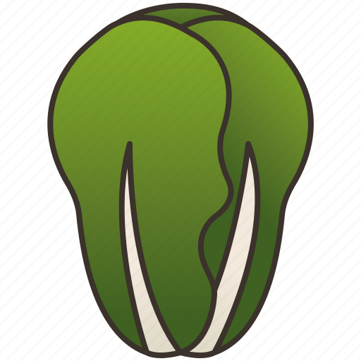 Green, healthy, lettuce, salad, vegetable icon - Download on Iconfinder