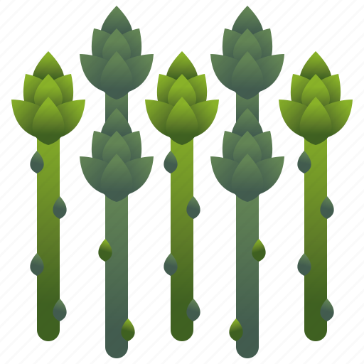 Asparagus, diet, green, shoot, vegetable icon - Download on Iconfinder