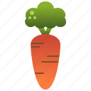 carrot, healthy, orange, organic, root