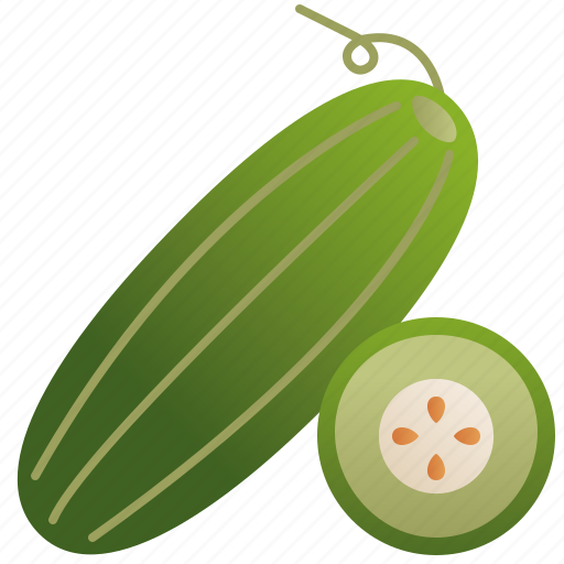 Cucumber, dietary, green, healthy, salad icon - Download on Iconfinder