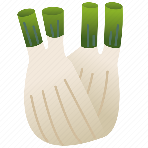 Aromatic, culinary, fennel, herb, white icon - Download on Iconfinder