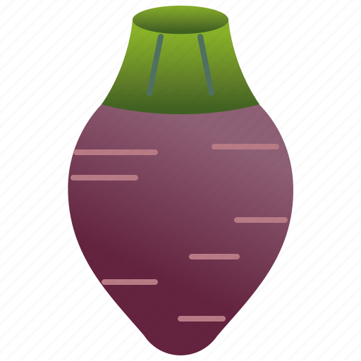 Carbohydrate, corm, harvest, purple, taro icon - Download on Iconfinder
