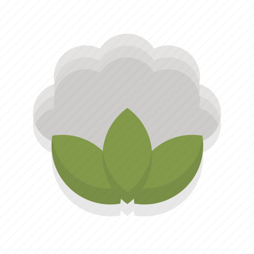 Cauliflower, food, healthy, vegetable, cooking, kitchen, restaurant icon - Download on Iconfinder