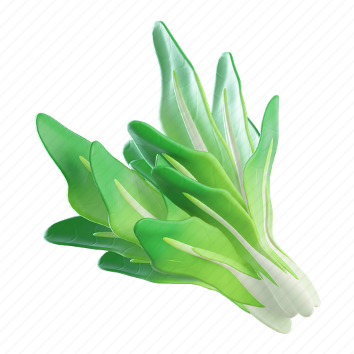 Spinach, food, organic, vegetable, vegetarian, vegan 3D illustration - Download on Iconfinder