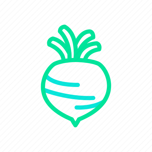 Eat, fresh, healthy, kohlrabi, organic, vegetable, vegetarian icon - Download on Iconfinder