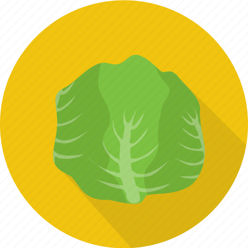 Agriculture, cabbage, fresh, green, organic, vegetables icon - Download on Iconfinder