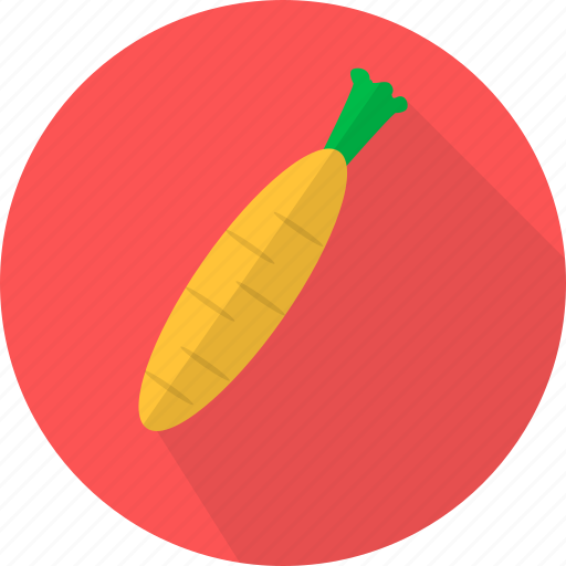 Carrot, fresh, organic, plant, root, vegetables icon - Download on Iconfinder