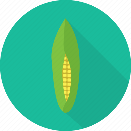 Corn, food, harvest, maize, organic, vegetables icon - Download on Iconfinder