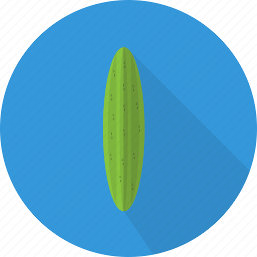 Cucumber, food, fresh, organic, plant, vegetables icon - Download on Iconfinder