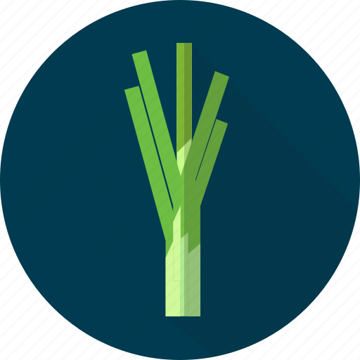 Leek, nature, onion, organic, plant, vegetables icon - Download on Iconfinder