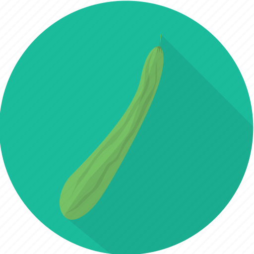 Healthy, organic, pare, peria, vegetables icon - Download on Iconfinder