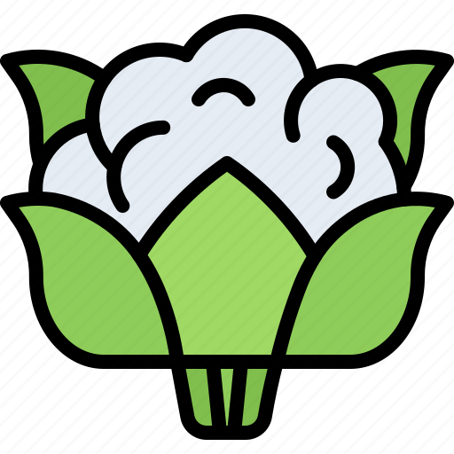 Cauliflower, food, vegetable, shop icon - Download on Iconfinder