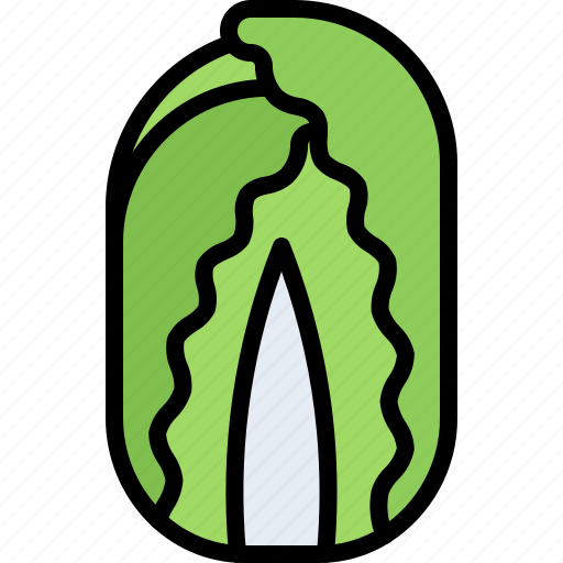 Cabbage, food, vegetable, shop icon - Download on Iconfinder