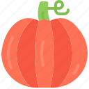 pumpkin, food, vegetable, shop