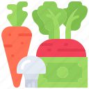 beetroot, carrot, mushroom, banknote, price, money, buy, food, vegetable