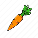 carrot, fresh, food, vegetable, healthy, organic, ingredient, vegetables, plant