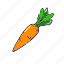 carrot, fresh, food, vegetable, healthy, organic, ingredient, vegetables, plant 