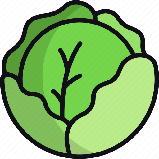 Cabbage, vegetable, veggie, healthy food, vegetarian, vegan icon - Download on Iconfinder