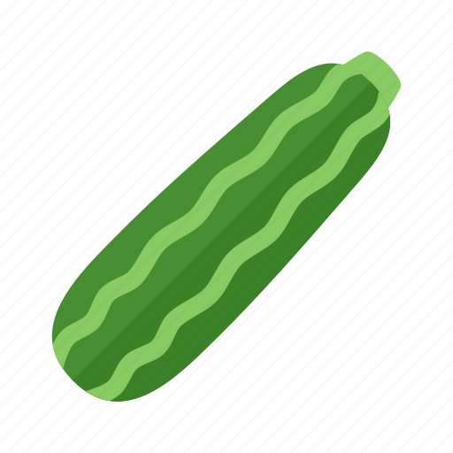 Colour, food, garden, green, health, vegetable, zucchini icon - Download on Iconfinder