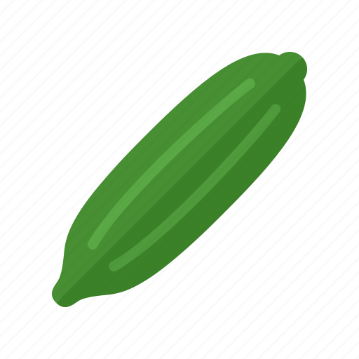 Colour, cucumber, garden, green, health, salad, vegetable icon - Download on Iconfinder