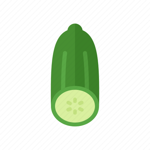 Colour, cucumber, food, green, half, salad, vegetable icon - Download on Iconfinder