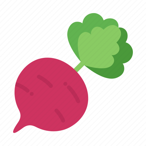Beet, beetroot, colour, food, garden, red, vegetable icon - Download on Iconfinder