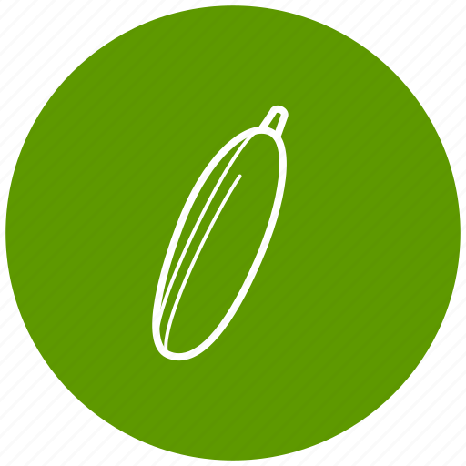 Cucumber, food, ingredient, vegetables icon - Download on Iconfinder