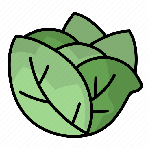 Cabbage, food, fruit, vegetables icon - Download on Iconfinder