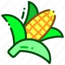 corn, vegetable, food, maize, grain