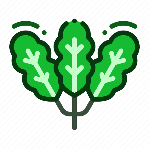 Vegetable, herb, leaf, food, mustard greens, kale icon - Download on Iconfinder